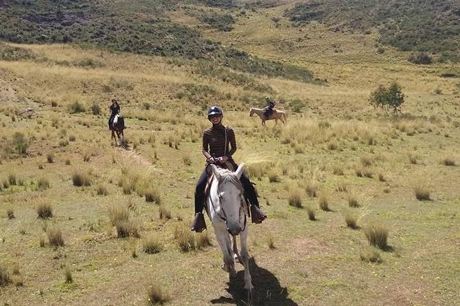 Horseback Riding: 4 Archaeological Sites - How the staff handles beginners and children
