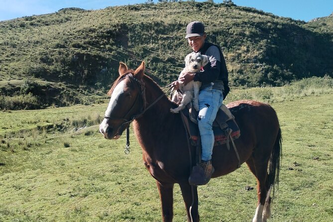 Horseback Riding & Ancestral Secrets: Moon Temple & Inka Sites - Meeting the horses before the trail