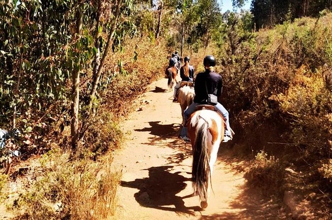 Horseback riding around Sacsayhuaman, Cusco - Sacsayhuaman, the first major stop