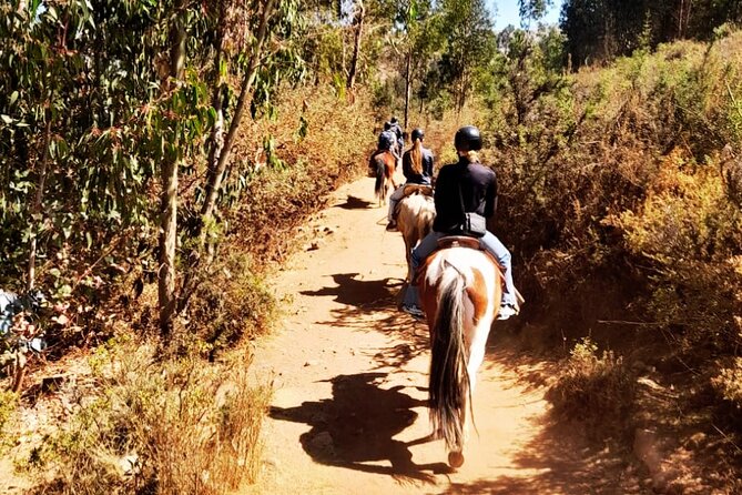 Horseback riding around Sacsayhuaman, Cusco - Is $50 a fair price?