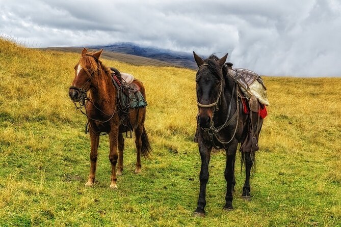 Horseback riding in Ausangate 7 lakes full day - private - Glaciers, colored water, and alpacas
