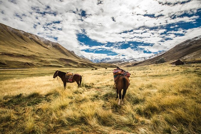 Horseback riding in Ausangate 7 lakes full day - private - What the guide and safety support add