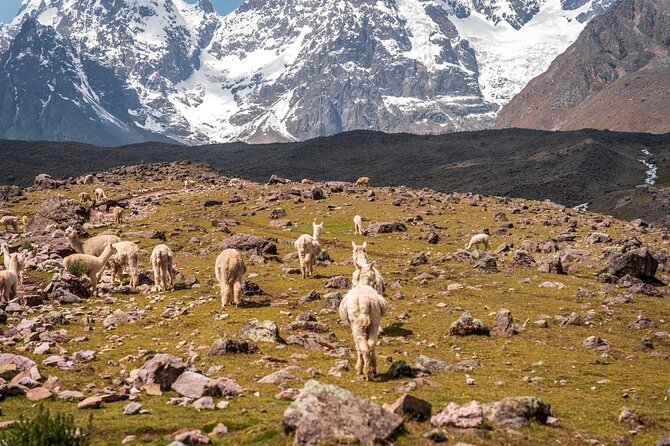 Horseback riding in Ausangate 7 lakes full day - private - Is $185 a fair price?