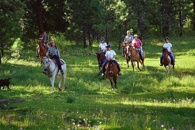 Horseback Riding Plus Tour to Sacsayhuaman, Quenqo, Puka Pucara and Tambomachay - Why this four-hour combination works