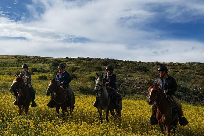 Horseback Riding Tour to the Devil's Balcony from Cusco - Price, timing, and what the $85 includes