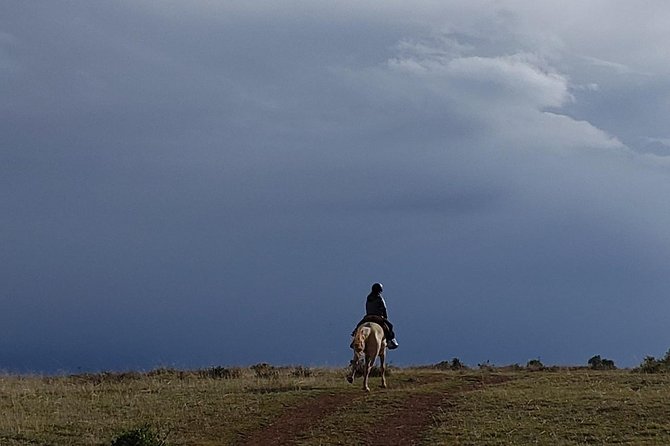 Horseback Tour in cusco to Temple of the Moon & Hidden temples - Key points before you book