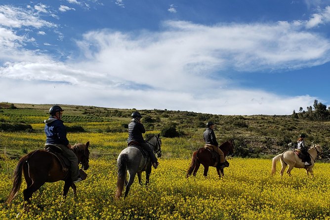 Horseback Tour in cusco to Temple of the Moon & Hidden temples - Why the $65 price is reasonable