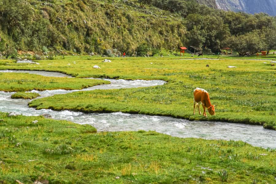 Huaraz: 3-hour Trek to Laguna 69 with Optional Lunch - What to pack for this high-altitude day