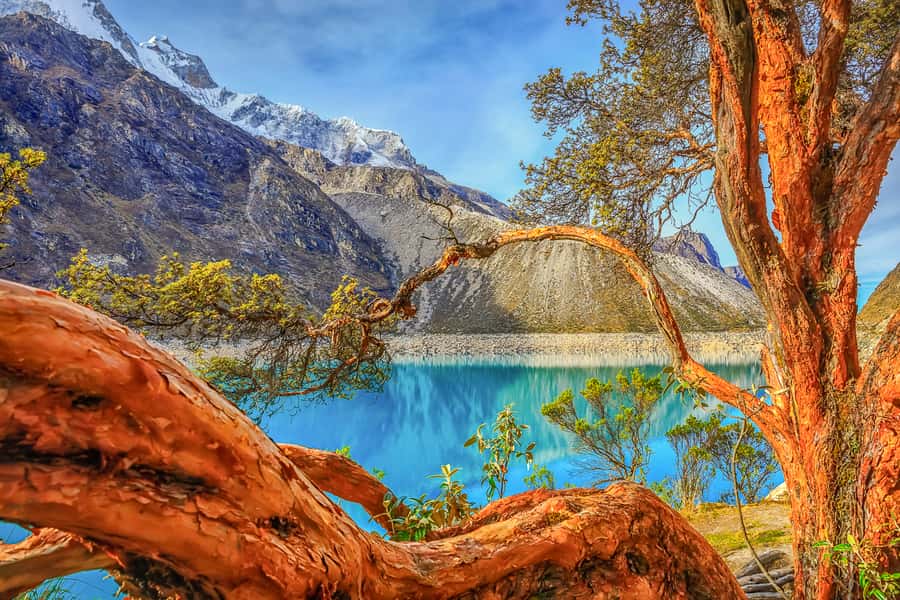 Huaraz: Full-day Tour to Lake Parón with Optional Lunch - Caraz: Sweets and a Gentle Finish