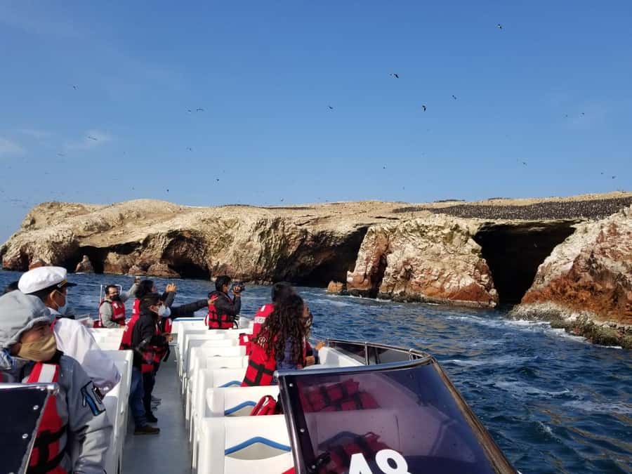 Ica: Ballestas Island & Paracas Reserve Private Tour - What the $100 price includes