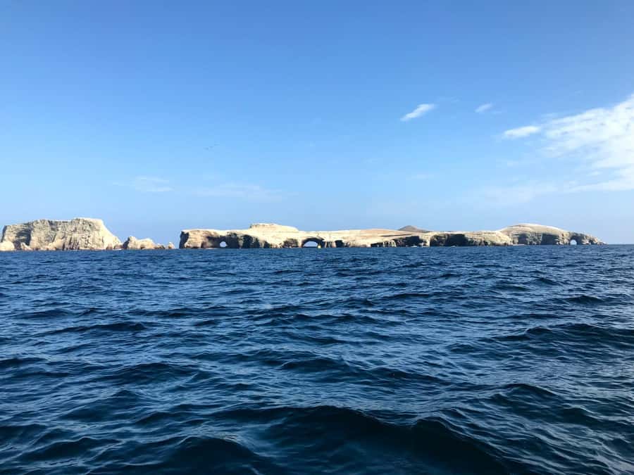 Ica: Ballestas Island & Paracas Reserve Private Tour - Why this Ica day trip works so well