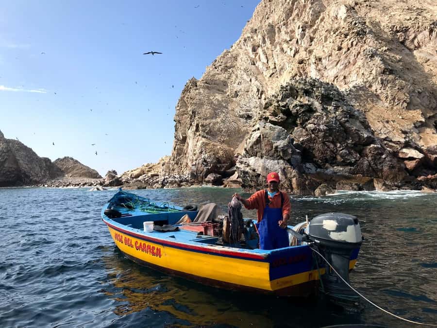 Ica: Ballestas Island & Paracas Reserve Private Tour - The Candelabro, Paracas’ unsolved mark