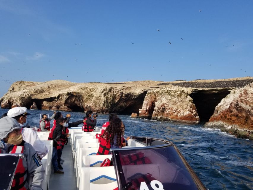 Ica: Ballestas Island & Paracas Reserve Private Tour - Sea lions and seabirds around Ballestas Islands