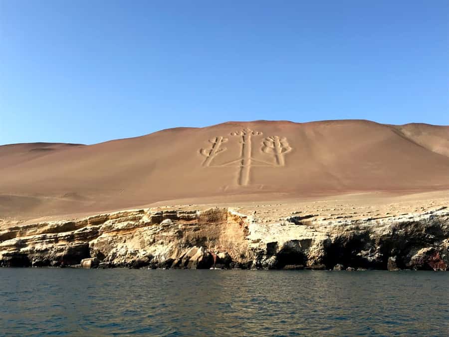Ica: Ballestas Island & Paracas Reserve Private Tour - From your Ica hotel to the Marina Turistica