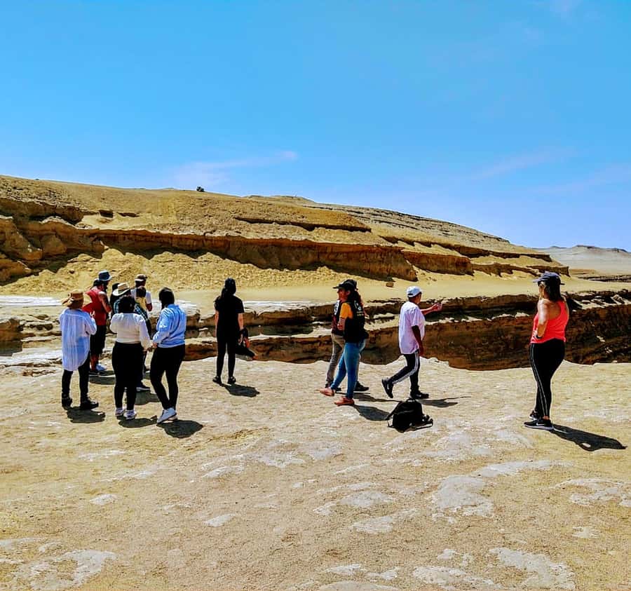 Ica: Canyon of the Lost Tour in Ocucaje Desert - Who should book this desert outing?