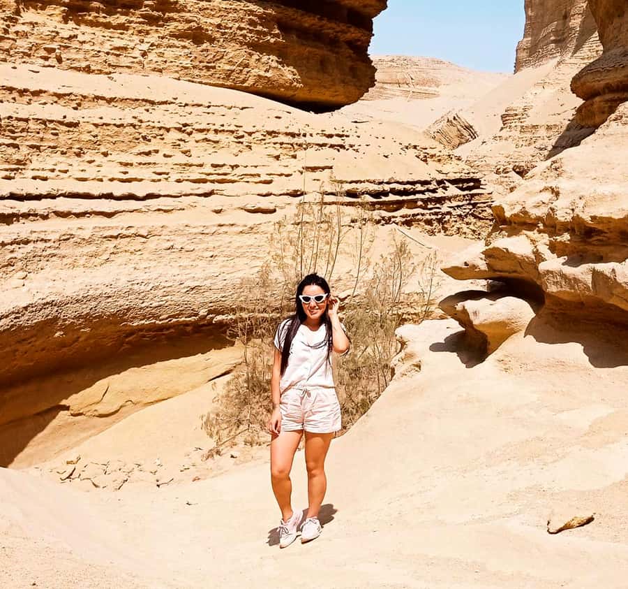 Ica: Canyon of the Lost Tour in Ocucaje Desert - Fossils and the ancient story beneath the sand