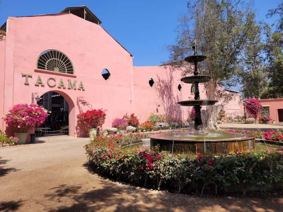 ICA: Pisco and Wine Route with tasting in 03 Wineries - Why Ica Is the Right Place for a Pisco Tour