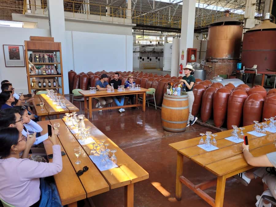 ICA: Pisco and Wine Route with tasting in 03 Wineries - The One-Hour Introduction at Hacienda Tacama