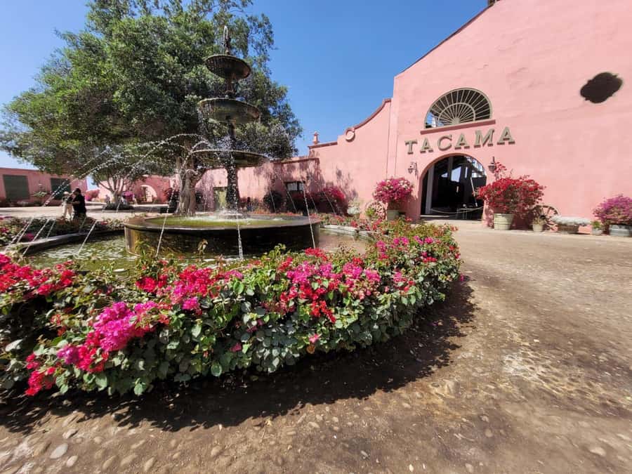 ICA: Pisco and Wine Route with tasting in 03 Wineries - Learning How Pisco Is Made