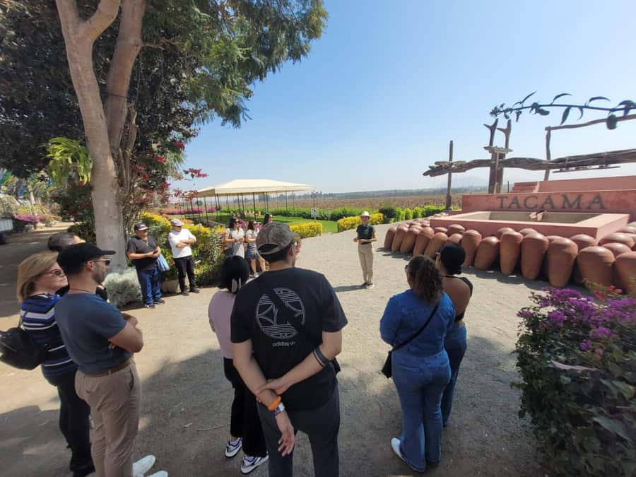 ICA: Pisco and Wine Route with tasting in 03 Wineries - Vineyard Views and the Second Winery