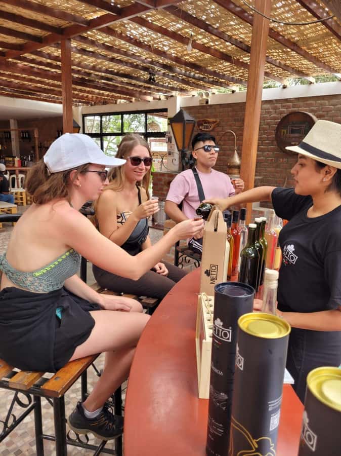 ICA: Pisco and Wine Route with tasting in 03 Wineries - A 50-Minute Regional Lunch