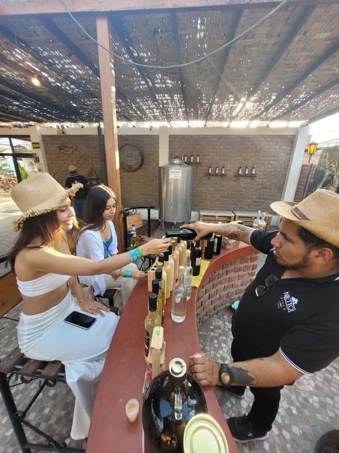 ICA: Pisco and Wine Route with tasting in 03 Wineries - Guiding, Language, and Group Size