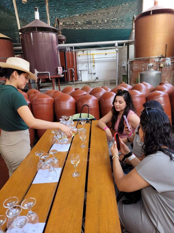 ICA: Pisco and Wine Route with tasting in 03 Wineries - Starting From Ica or Huacachina