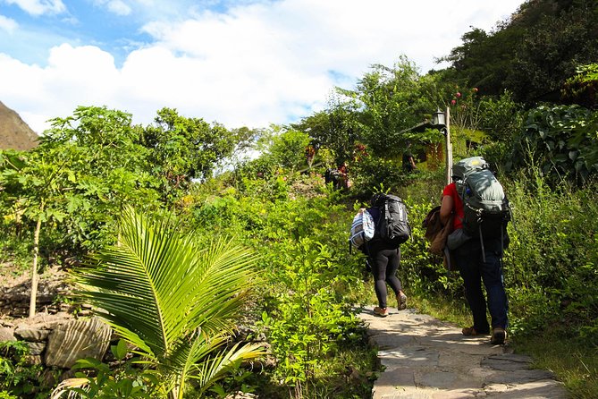 Inca Jungle Premium to Machu Picchu 4-Day and 3-Nights - Day four: Sunrise and two guided hours at Machu Picchu