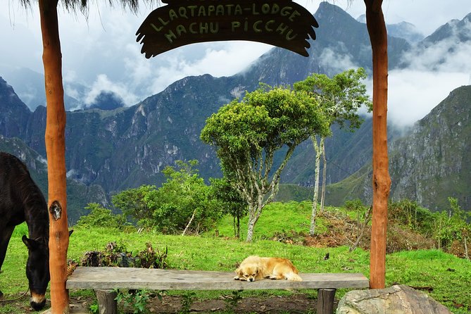 Inca Jungle Premium to Machu Picchu 4-Day and 3-Nights - Day two: Four hours through the Inca Jungle