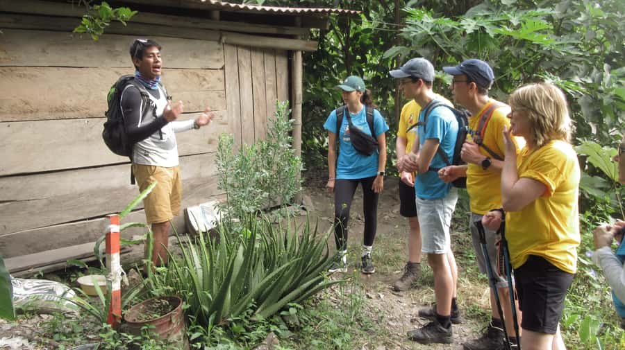 Inca Jungle Trail to Machu Picchu in 4 Days - Day 2: Coffee trails and Cocalmayo hot springs