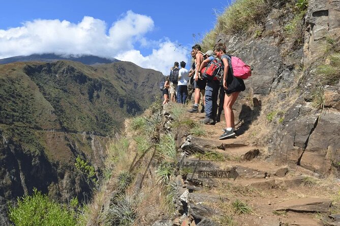 Inca Jungle Trek to Machu Picchu 4 Days: (Biking-Rafting-Zipline) - Day 2: Jungle plants, an old Inca route, and Cocalmayo