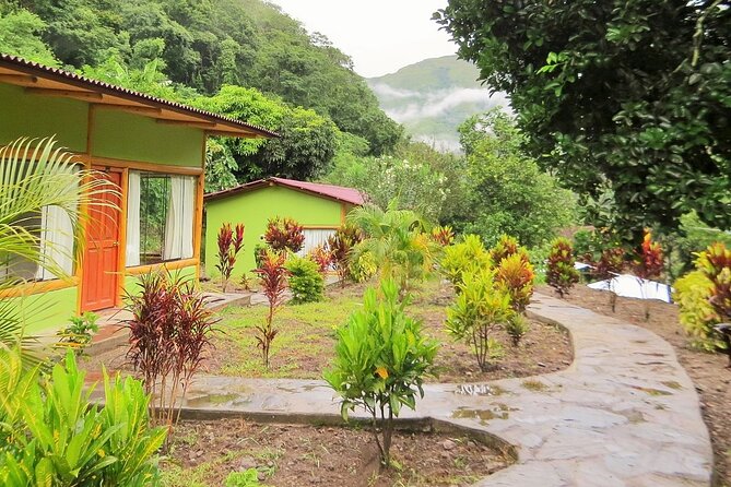 Inca Jungle Trek to Machu Picchu in 4-Days - Day 4: The early climb to Machu Picchu