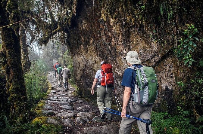 Inca Trail 4 Days and 3 Nights to Machu Picchu - Who should book this trek