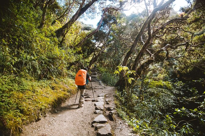 Inca Trail to Machu Picchu (4 Days) - Transport is part of the adventure
