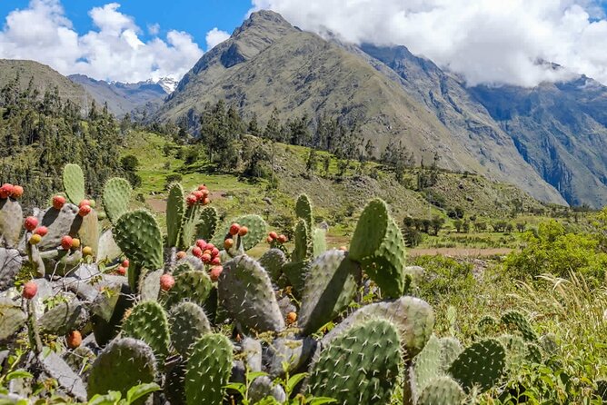 Inka Trail 4 Days to Machupicchu - Who should choose this trek?