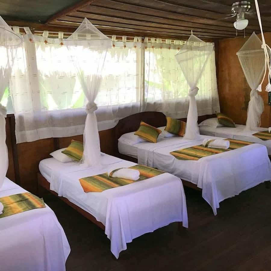 Iquitos: 2 Days and 1 Night Guided Amazon Jungle Tour - A quieter afternoon by canoe
