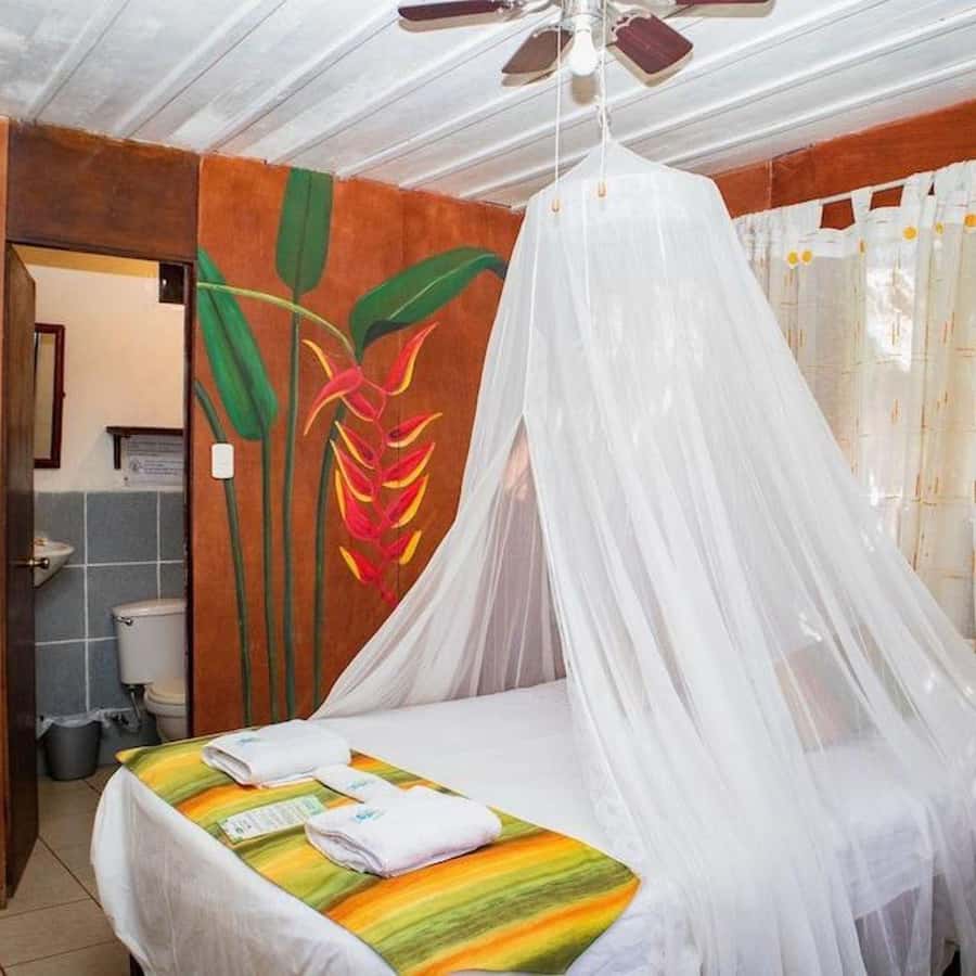 Iquitos: 2 Days and 1 Night Guided Amazon Jungle Tour - Night sounds and small jungle creatures