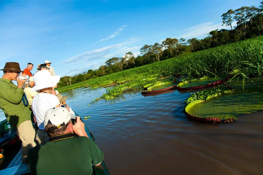 Iquitos: 2 Days and 1 Night Guided Amazon Jungle Tour - Dawn birds at 4:30 AM