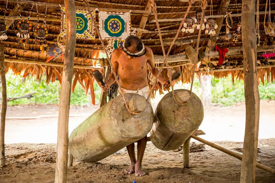 Iquitos: 3 Days and 2 Nights Guided Amazon Jungle Tour - Dawn birds and the 26-meter jungle lookout