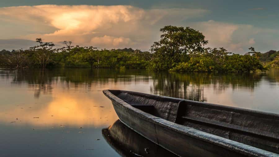 Iquitos: 3 Days and 2 Nights Guided Amazon Jungle Tour - Ziplining, bridges, climbing mesh, and a 25-meter rappel