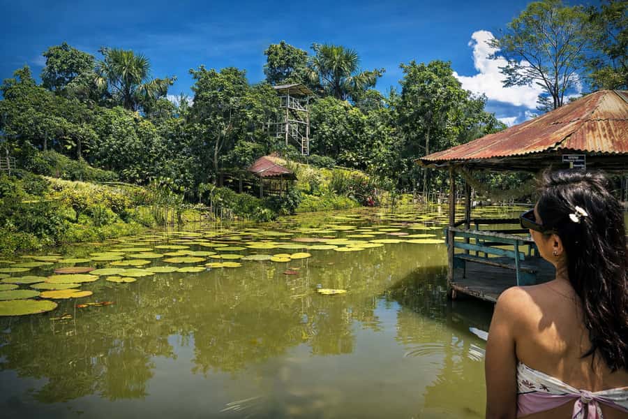 Iquitos: 6-Hour Wonderful Wildlife Guided Tour - Walking twenty minutes to the Lupuna tree