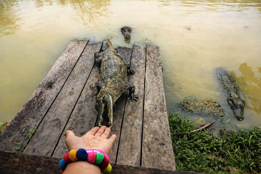 Iquitos: 6-Hour Wonderful Wildlife Guided Tour - How the guides shape the experience