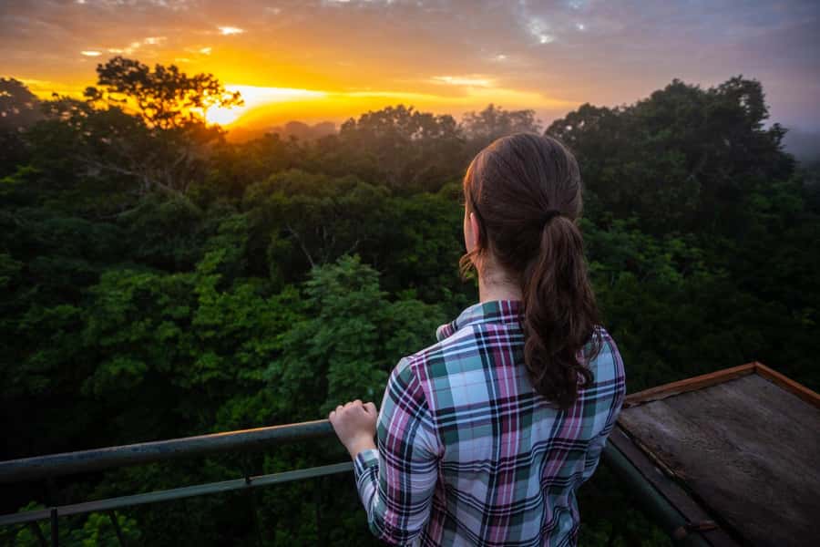 Iquitos: Full Day Tour in the Jungle | Amazon Safari - Starting at Bella Vista Nanay