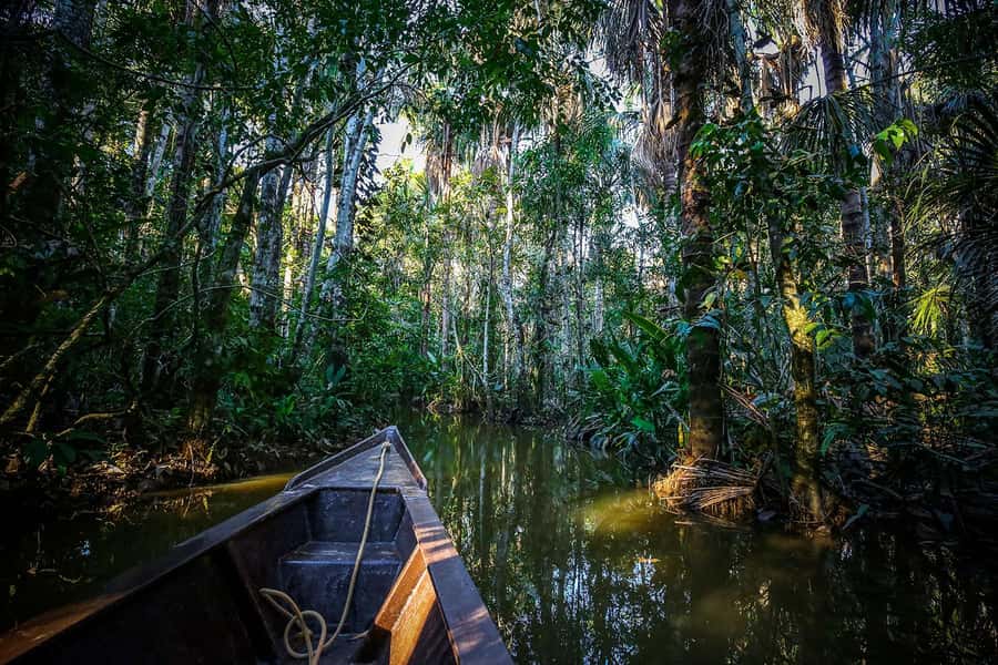 Iquitos: Full Day Tour in the Jungle | Amazon Safari - Traditional drinks at the Amazonian trapiche