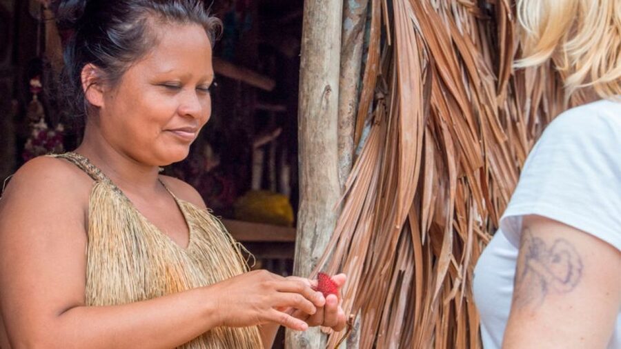 Iquitos: Native Community Experience & Amazon River Tour - Who should book this Iquitos experience?