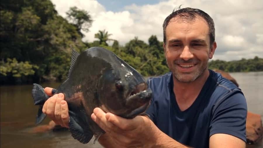 Iquitos: Piranha Fishing Experience in the Amazon jungle - Fishing where the Itaya meets the Amazon