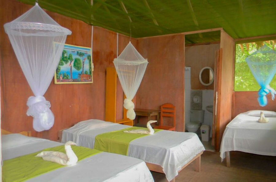 Iquitos to the Amazon: 2-Day Jungle & Wildlife Experience - Optional visit to the Yagua community
