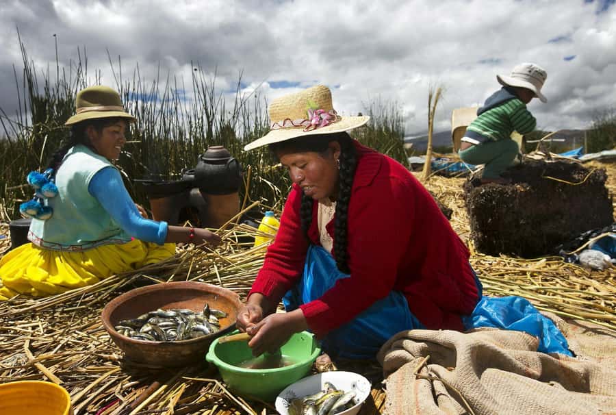 Lake Titicaca, Uros and Taquile Full-Day Tour - Key points to know before booking