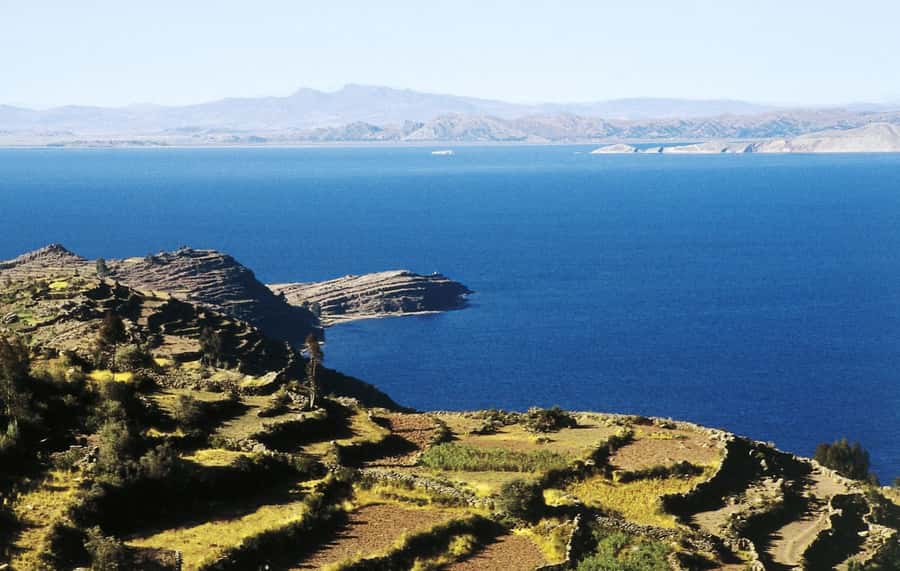 Lake Titicaca, Uros and Taquile Full-Day Tour - Meeting the reed-built Uros islands