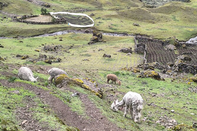 Lares Trek To Machupicchu With Thermal Baths 4Days - The quieter alternative to a standard Machu Picchu route